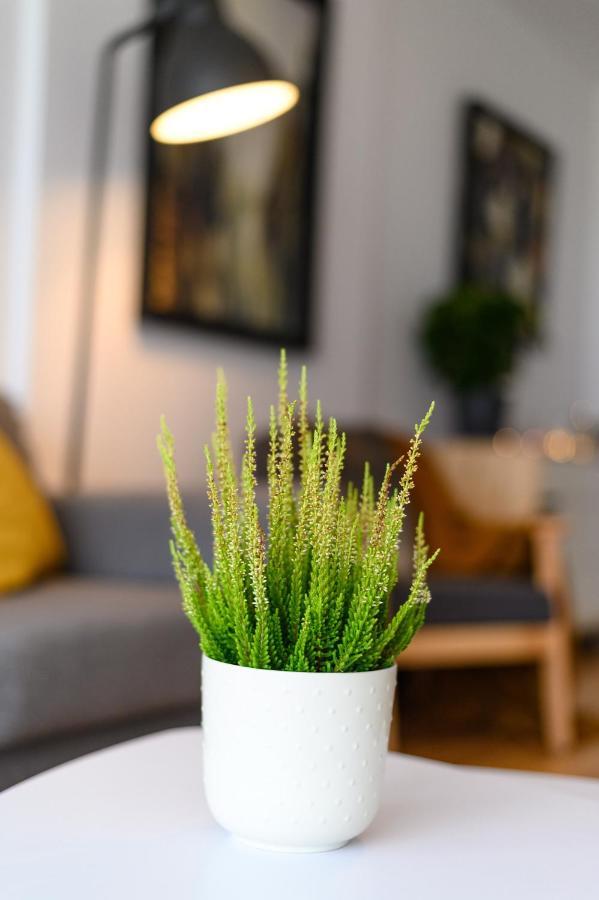 North Artistique - Aviatiei Apartment Bukares Bagian luar foto